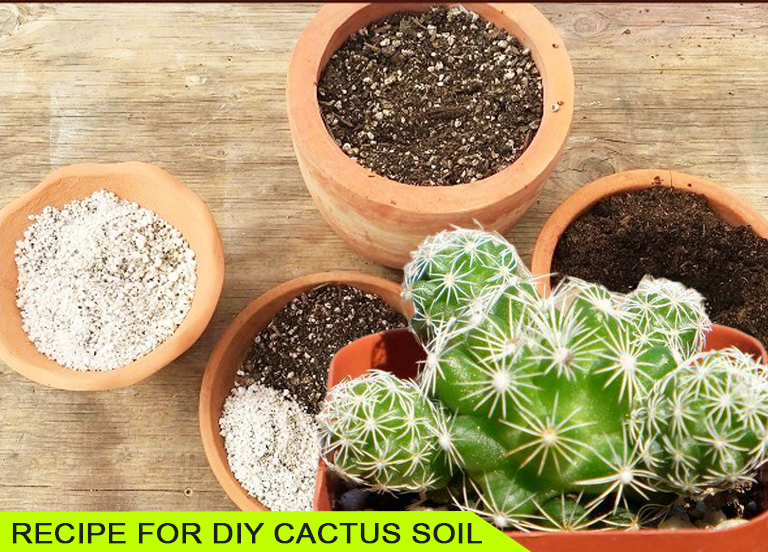 RECIPE FOR DIY CACTUS SOIL