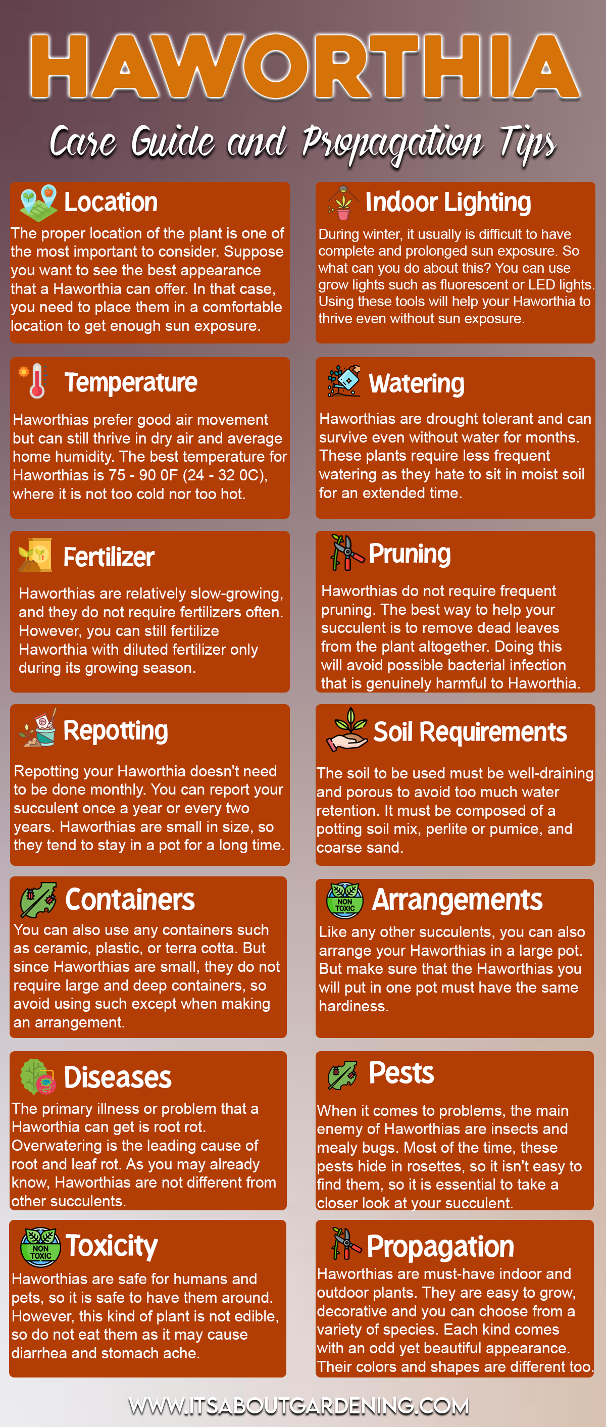 Haworthia Care Guide and Propagation Tips Infographic