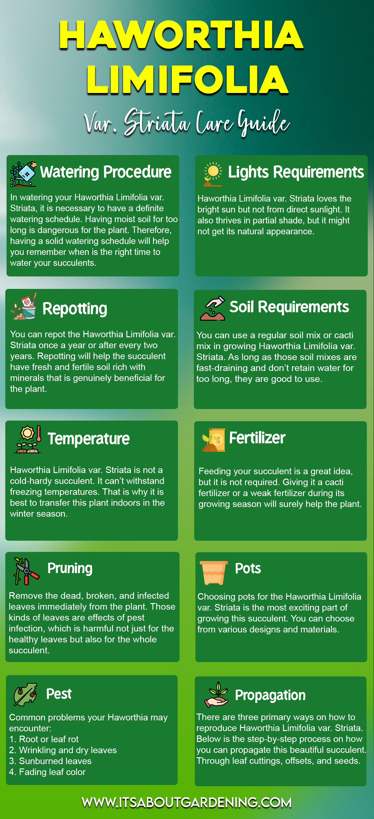 Haworthia Limifolia Var. Striata Care Guide Infographic