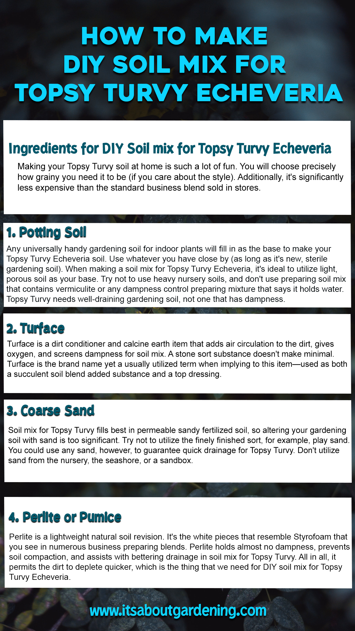 How to Make DIY Soil Mix for Topsy Turvy Echeveria Infographic
