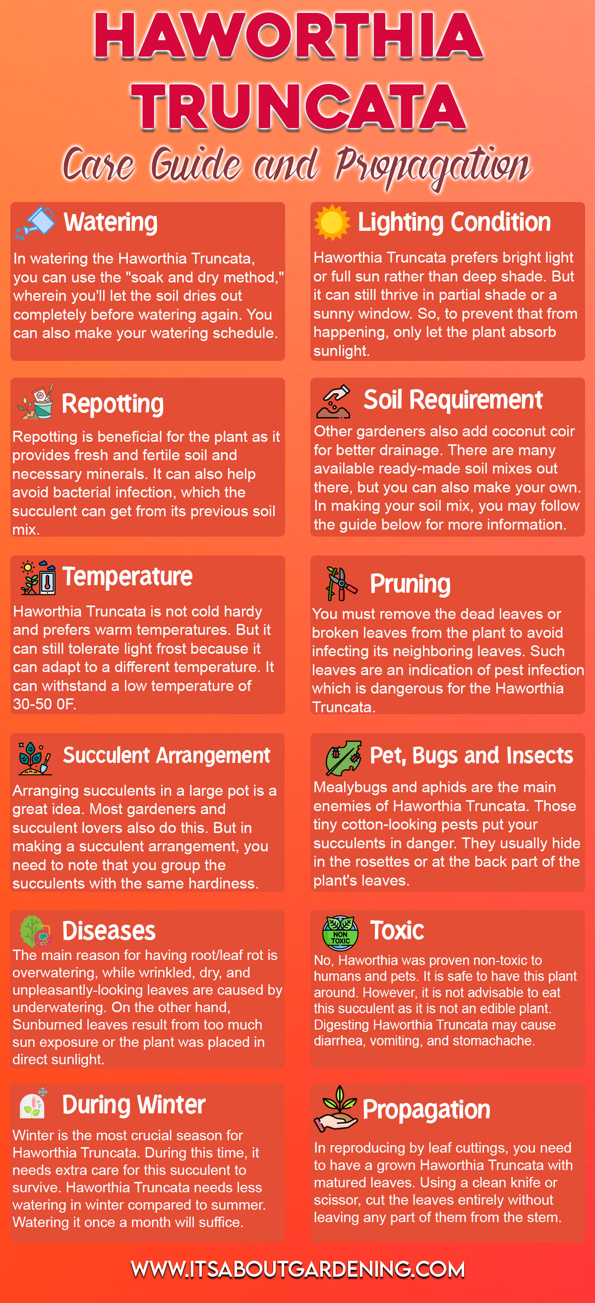 Haworthia Truncata Care Guide and Propagation Infographic